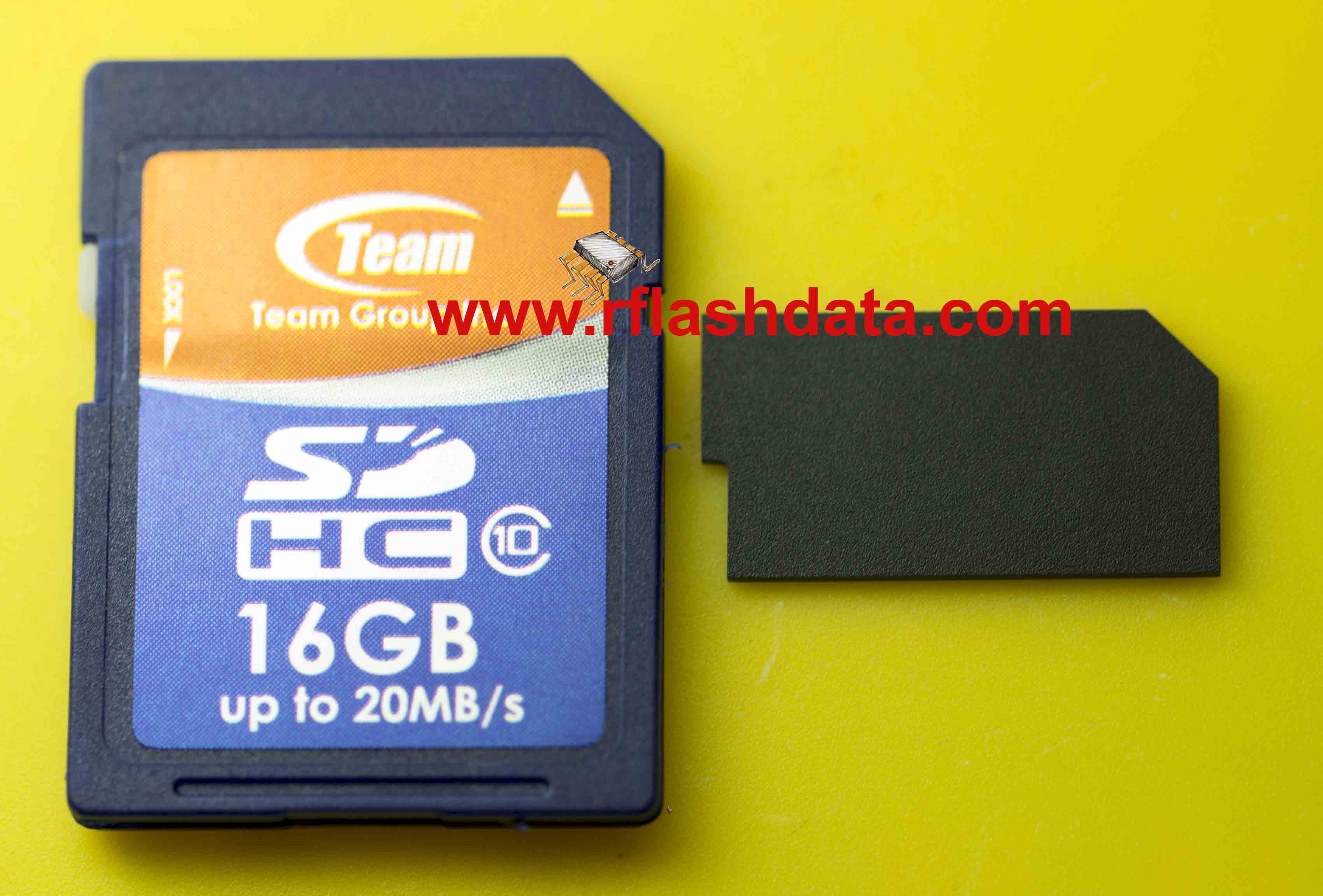 Team SD memory card