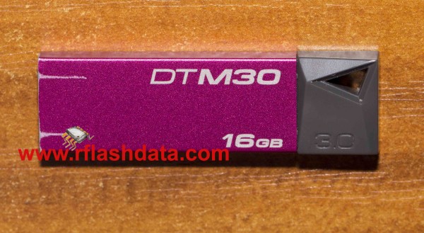 KIngston DTM30